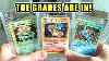 Is My Charizard Pokemon Card Gem Mint My Bgs Graded Cards Are Back