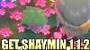 Nouveau Obtenir Shaymin Glitch Sur 1 1 2 En Pokemon Brillant Diamant Brillante Perle